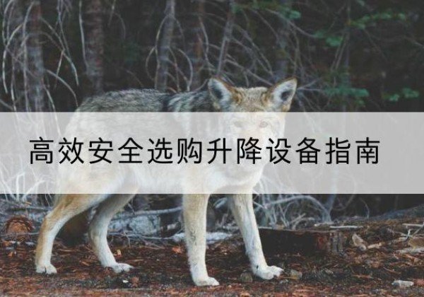 咸安升降货梯厂家推荐-*安全选购升降设备指南