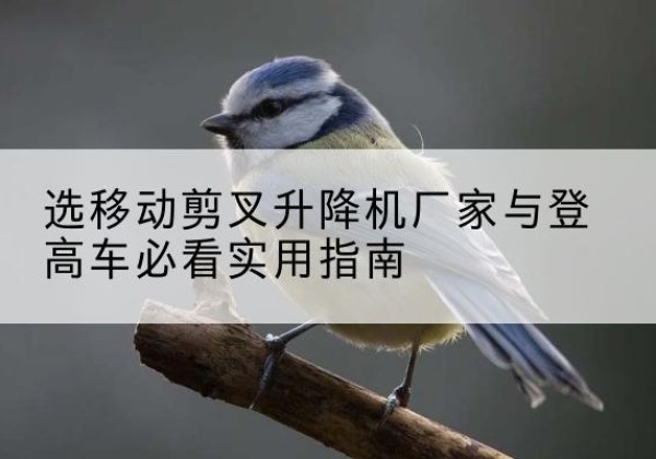 咸安电动升降机厂家-选移动剪叉升降机厂家与登高车必看实用指南